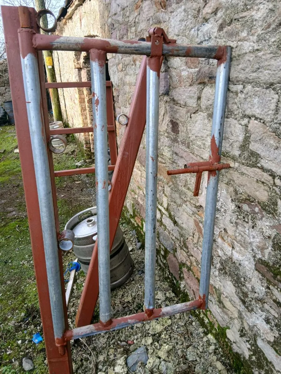 Cattle crush - Image 1