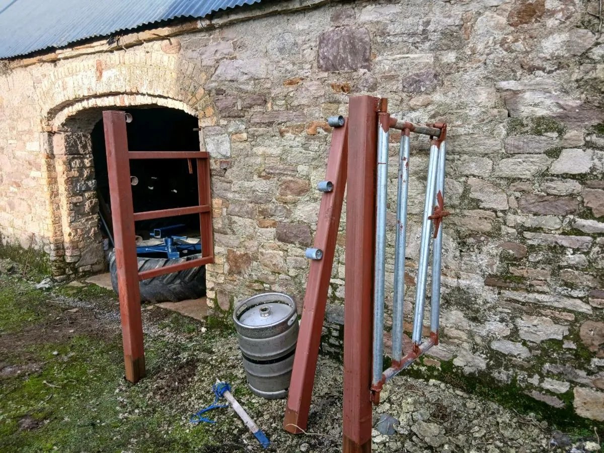 Cattle crush - Image 4