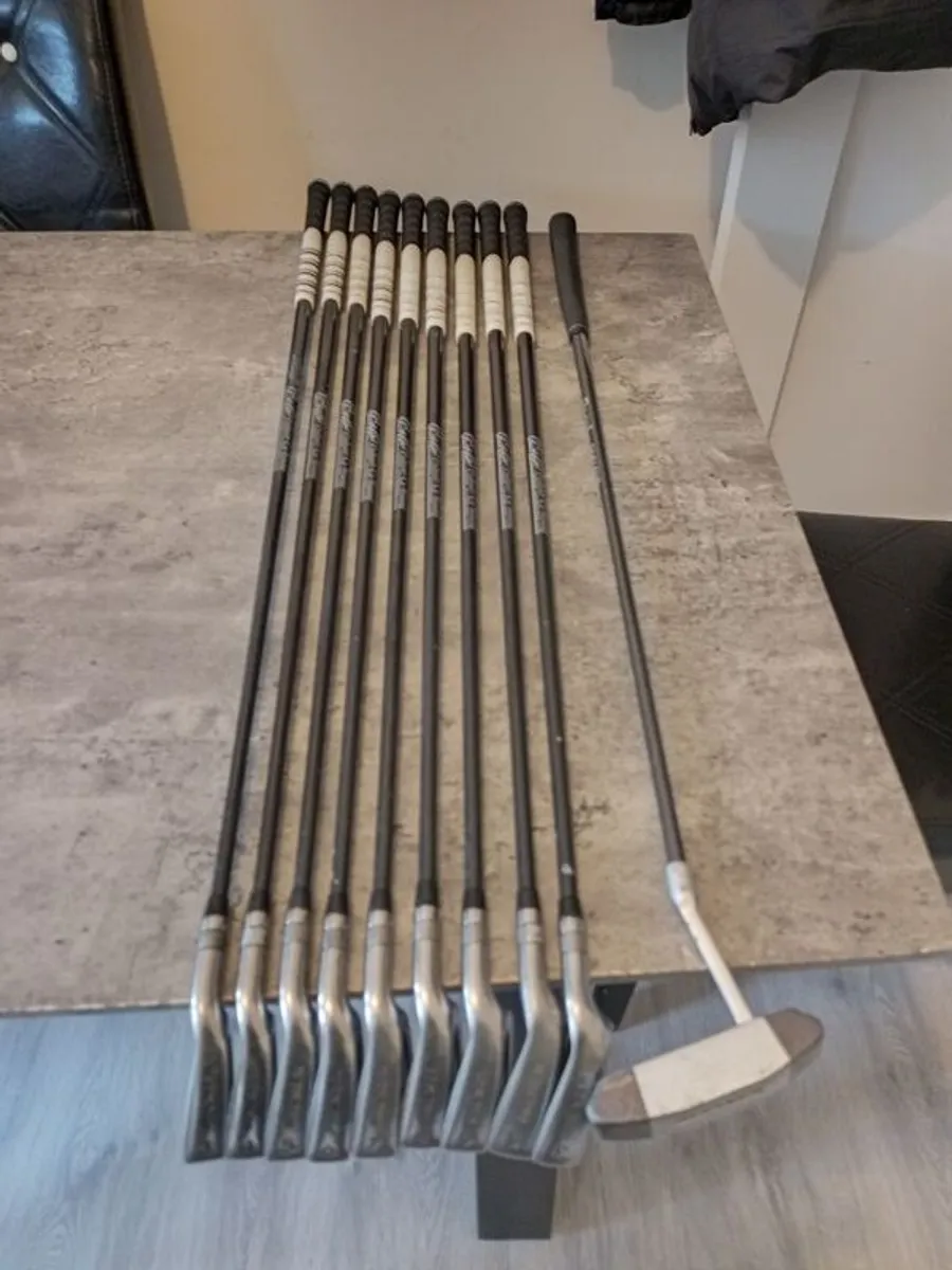 Palmer golf irons and putter. Right handed clubs - Image 4