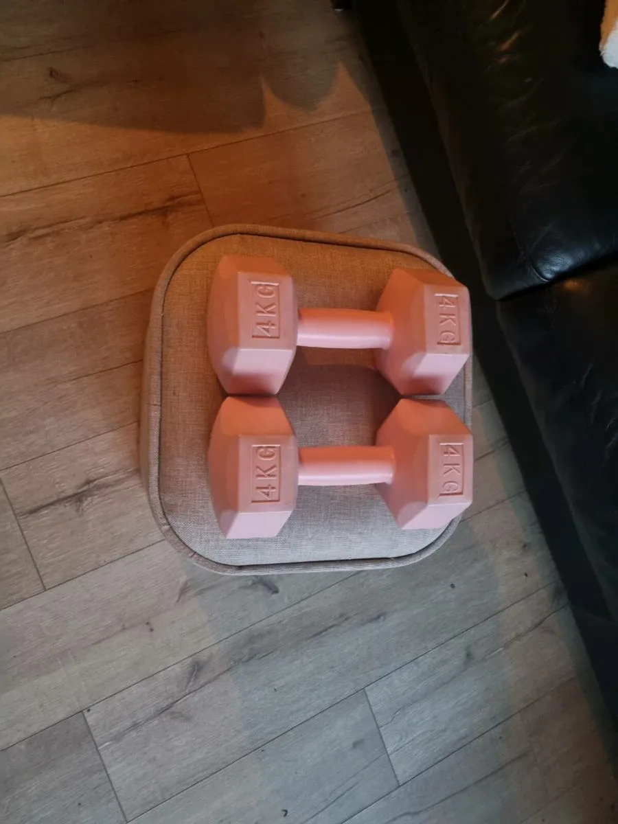 dumbells - Image 1