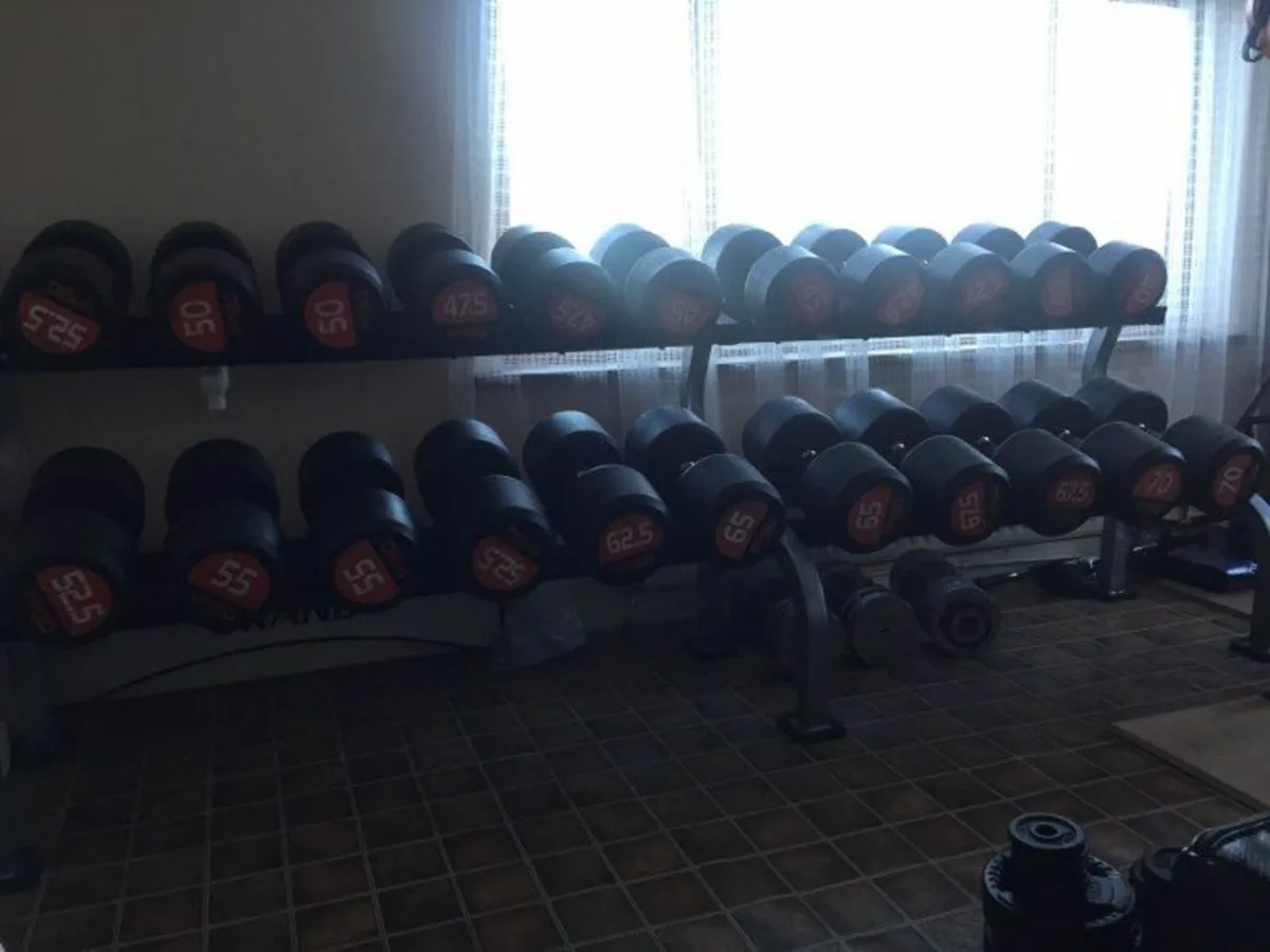 Dumbbells - Image 1