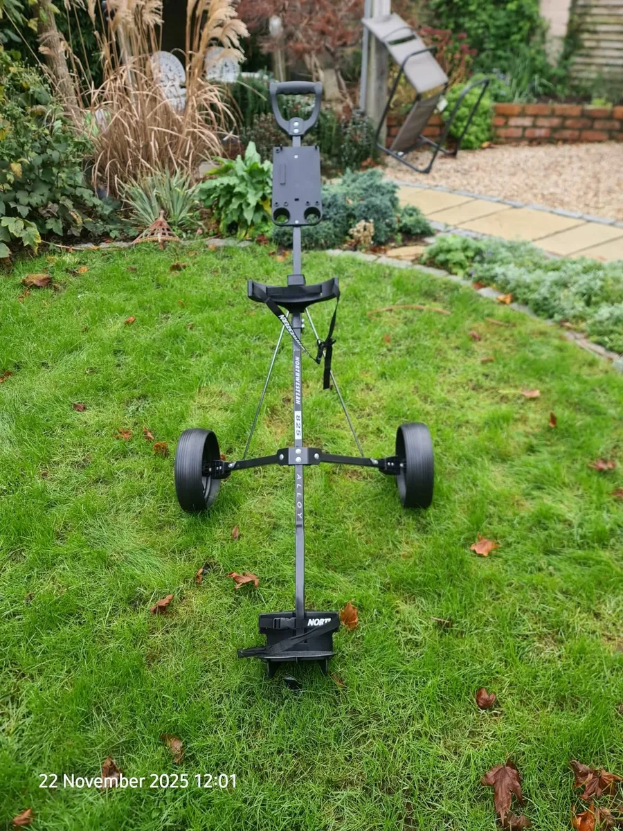 caddy cart - Image 1