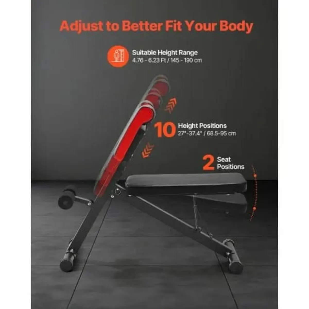 Multi-Functional Weight Bench for Full Body Workou - Image 2