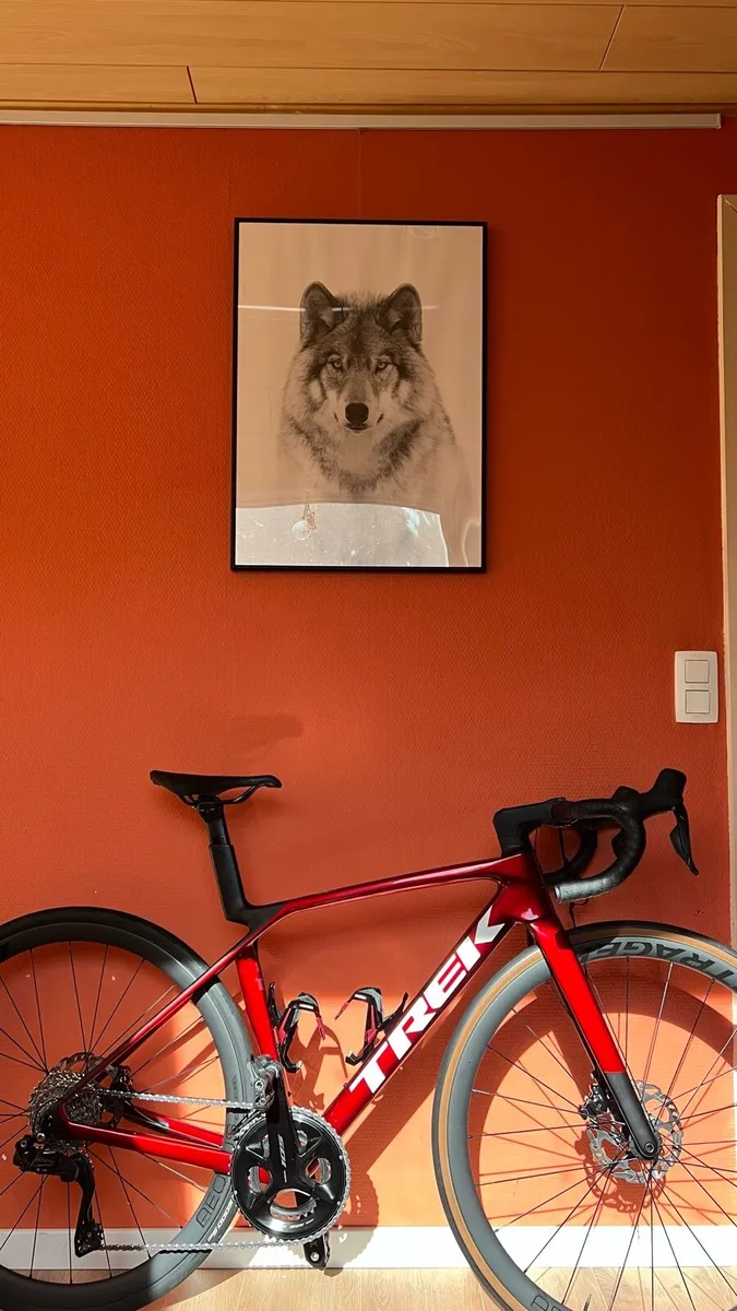 Trek Madone SL 6 Gen 8 Road - Image 1