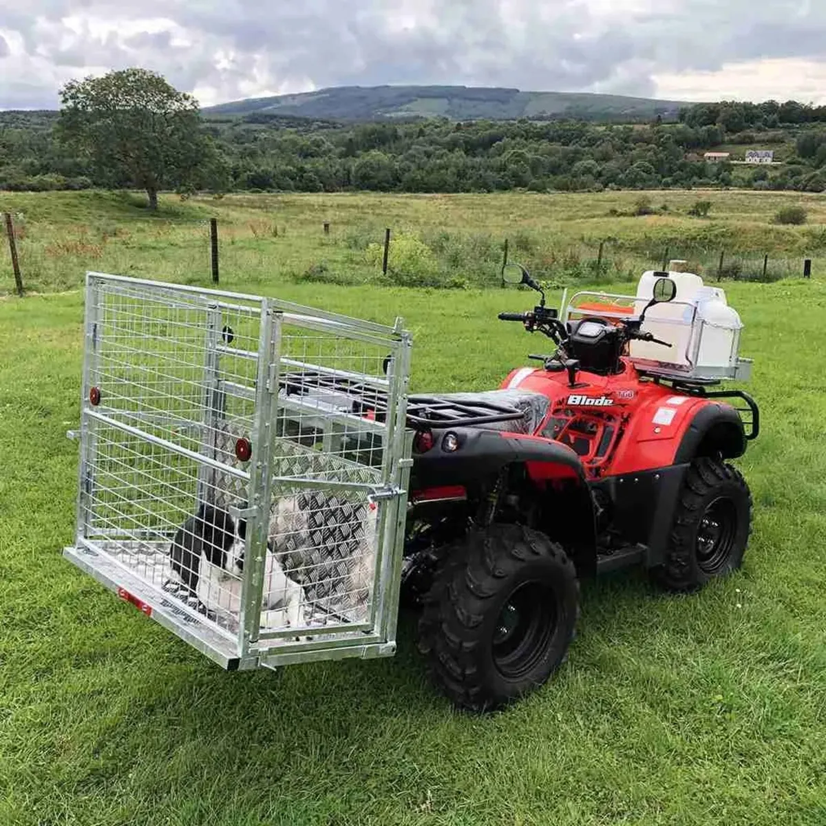 Quad Crate - Image 1