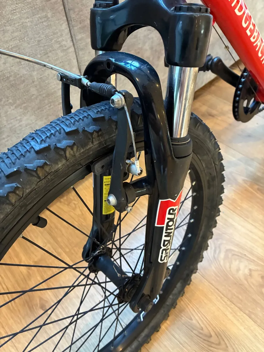 20 inch ridgeback bike - Image 4