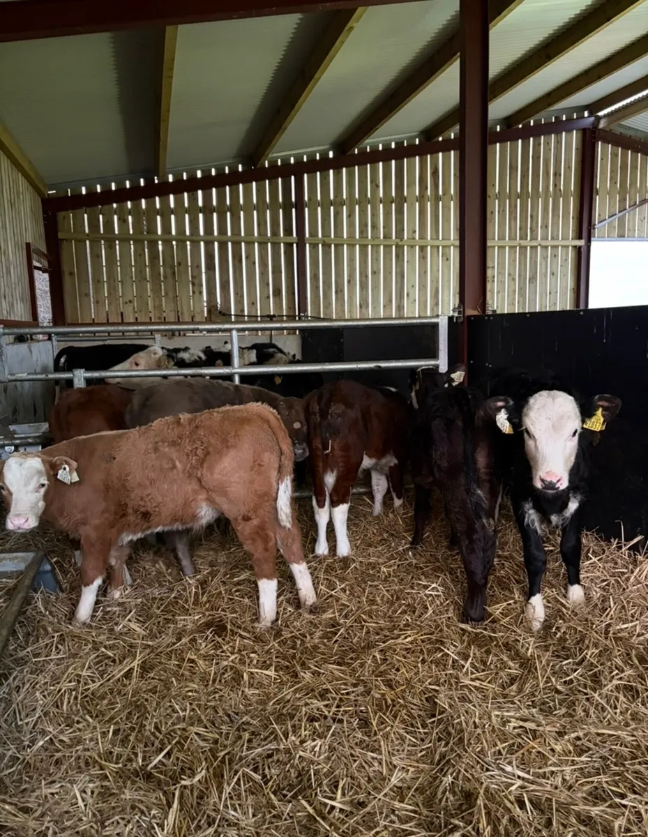 Value of the month 🔥 - Image 1