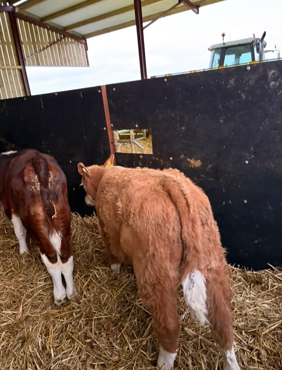 Value of the month 🔥 - Image 3