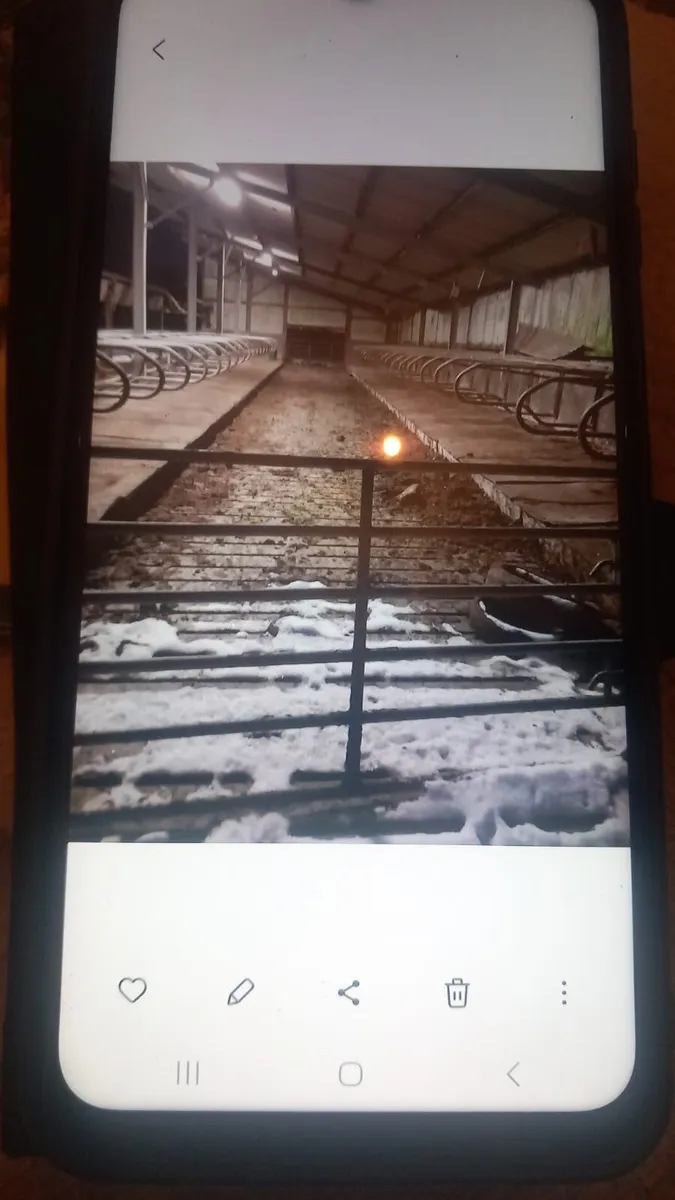 120 cubicle sheds with slurry storage and headfeed - Image 1