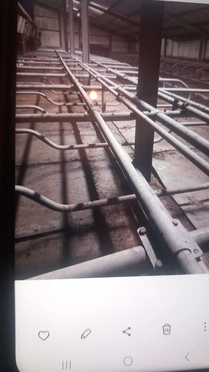 120 cubicle sheds with slurry storage and headfeed - Image 3