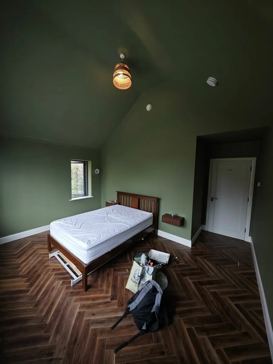 Painter & Decorator CORK area - Image 1