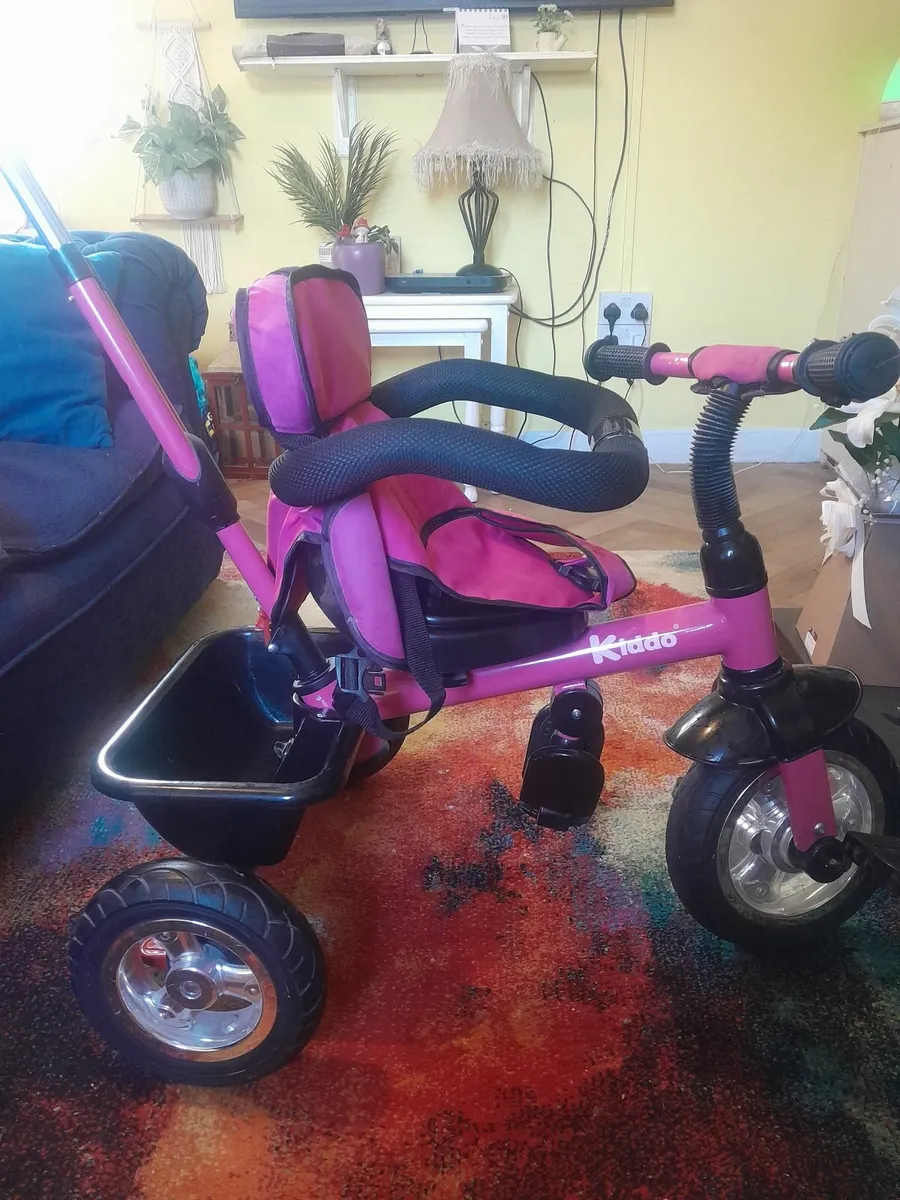 Childs trike - Image 2