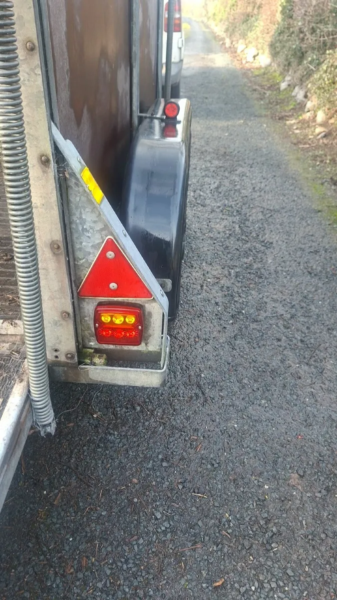 Ifor Williams 505 Horsebox - Image 4