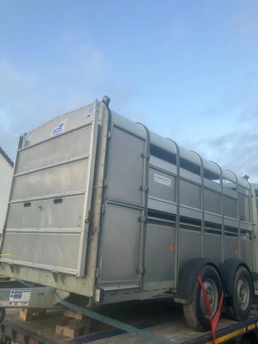 Ifor Williams 12ft cattle trailer