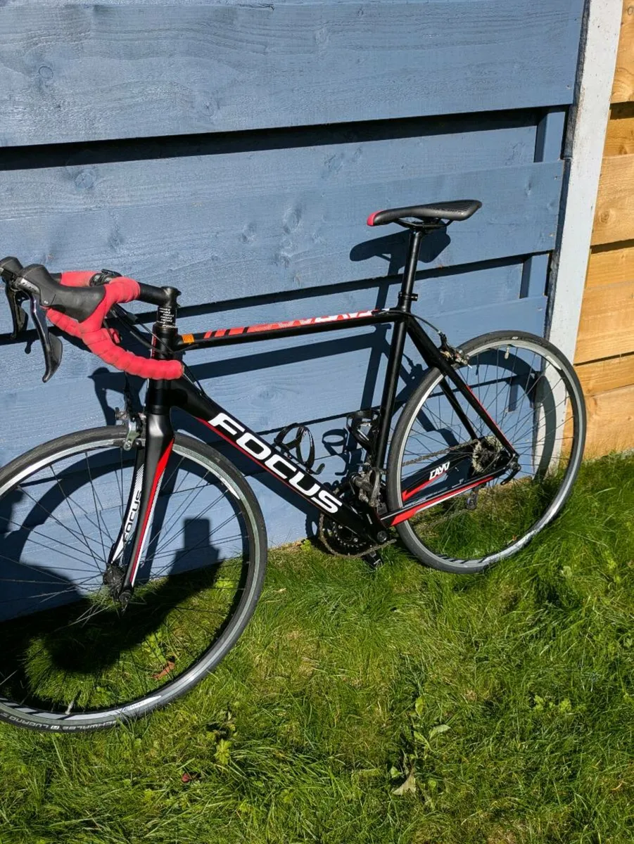 Focus Cayo AL Road bike - Image 2