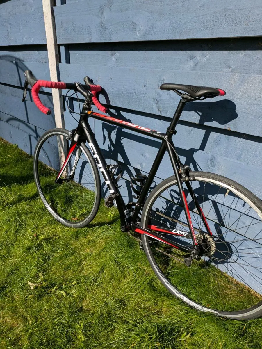 Focus Cayo AL Road bike - Image 3