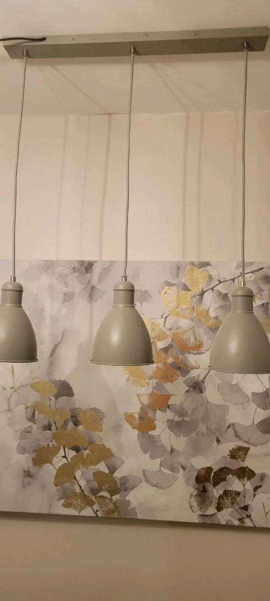 Hanging ceiling lights - Image 1