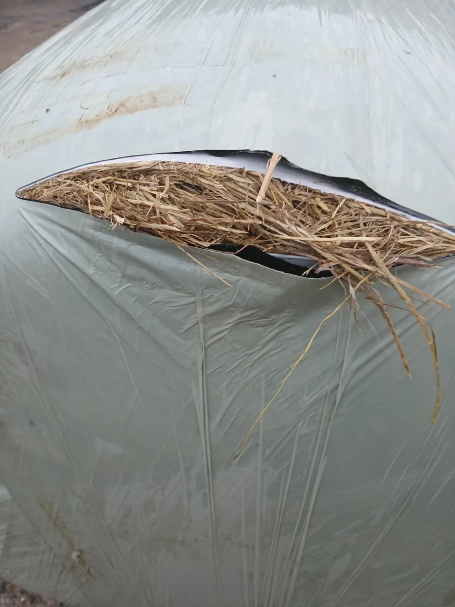 QUALITY  ROUND  BALES - Image 1