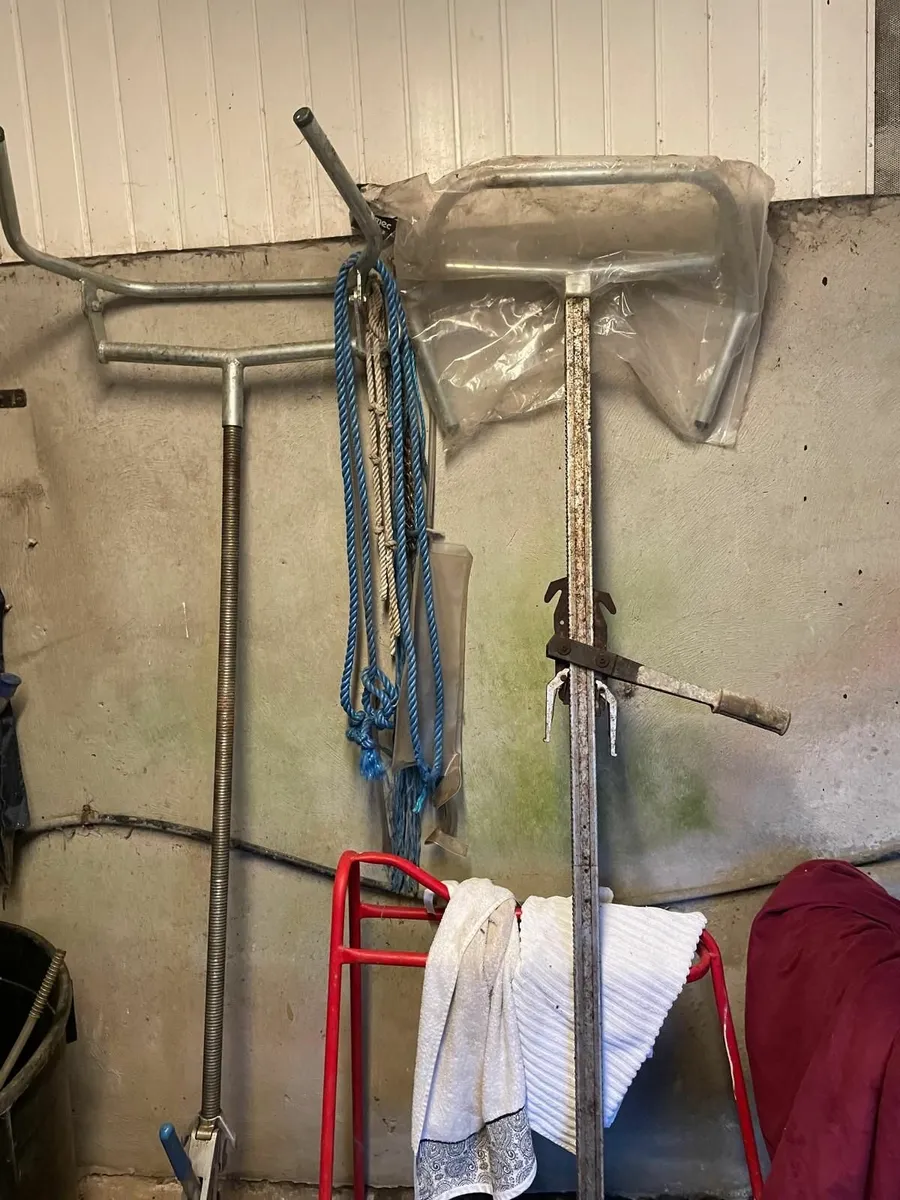 Calving Jack - Image 1