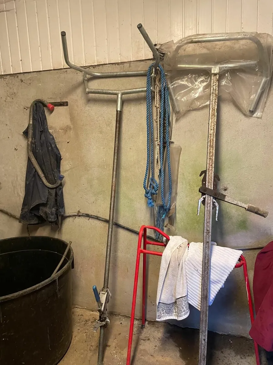 Calving Jack - Image 2