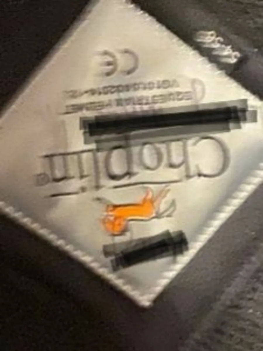 Equestrian Body protector and helmet +2  covers - Image 2