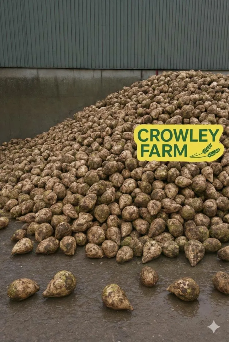 Sugar beet, wheaten straw - Image 1