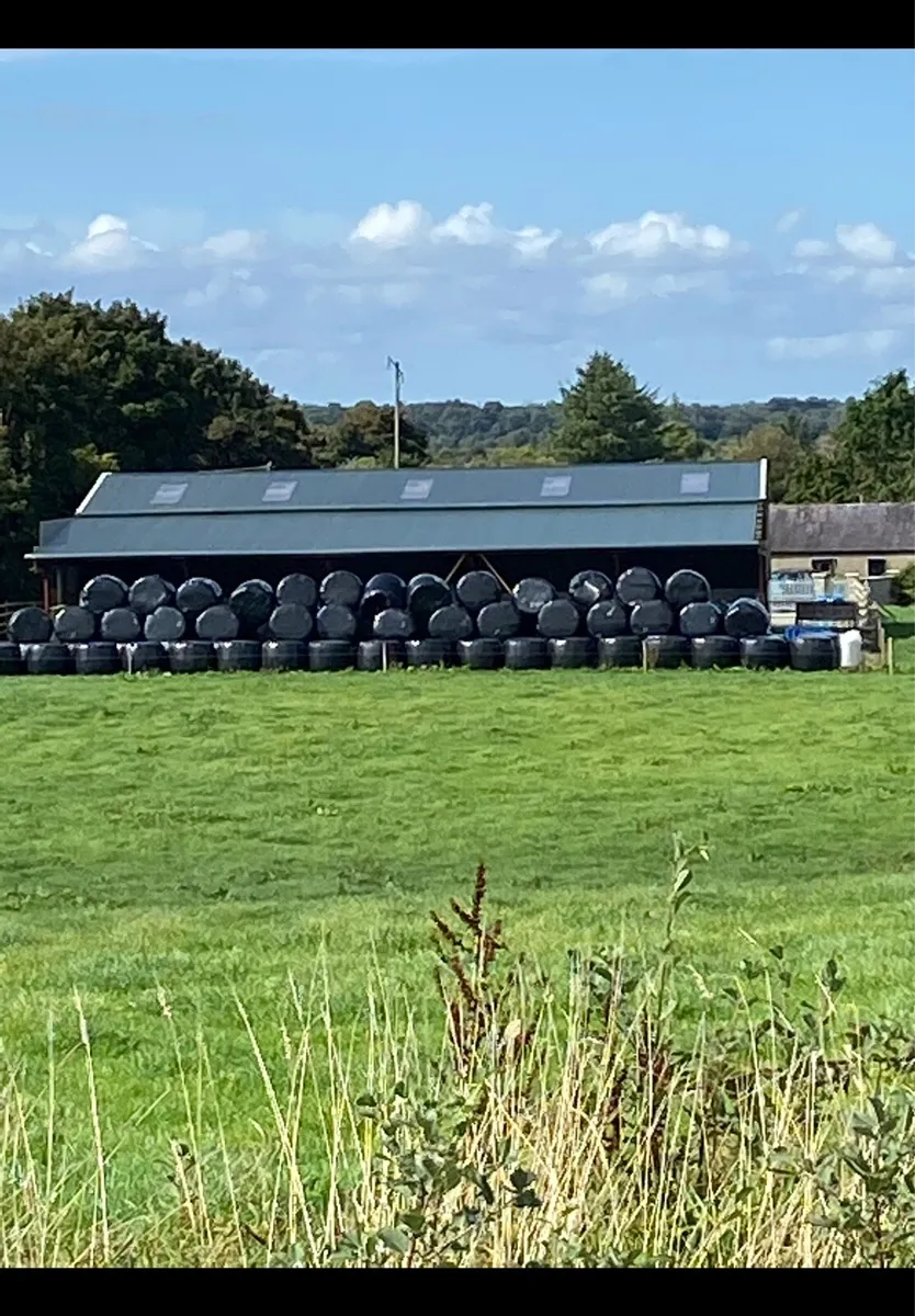 Cashels Bale Splitter and Round baled silage - Image 1