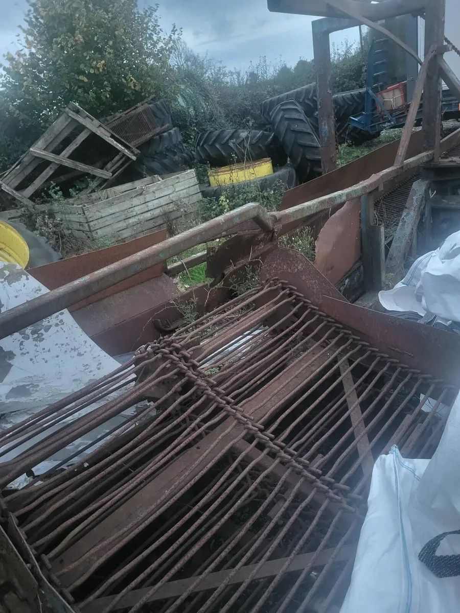 K&H Collector - Image 2