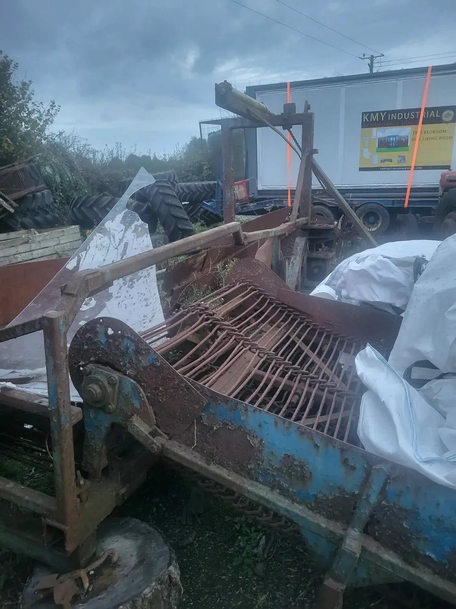 K&H Collector - Image 4