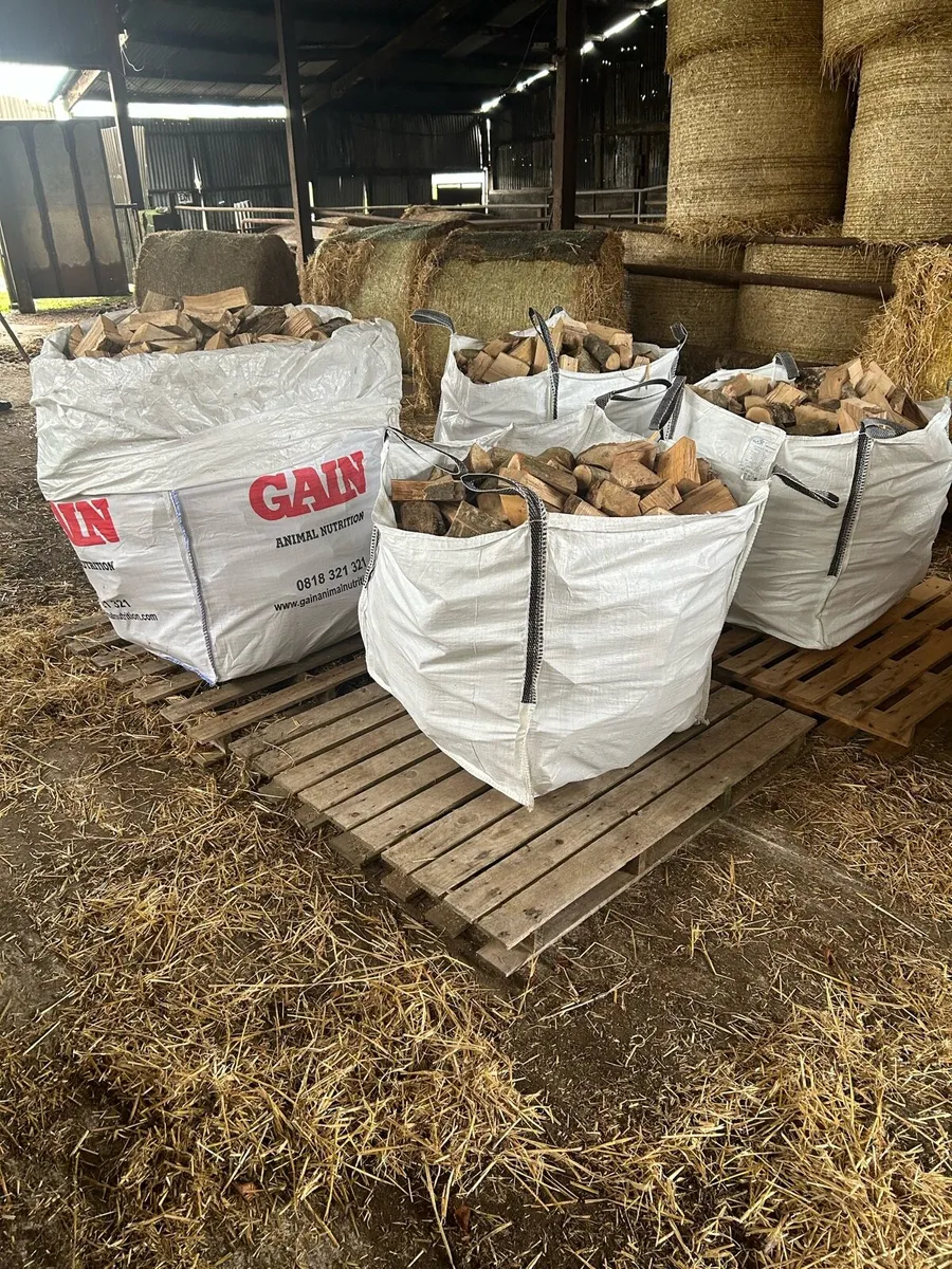 Firewood - Image 1