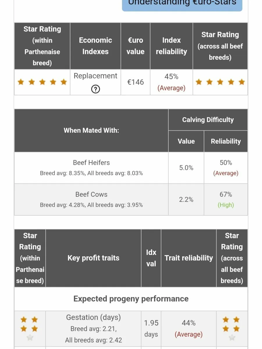 PBR Parthenaise Heifer - Image 3