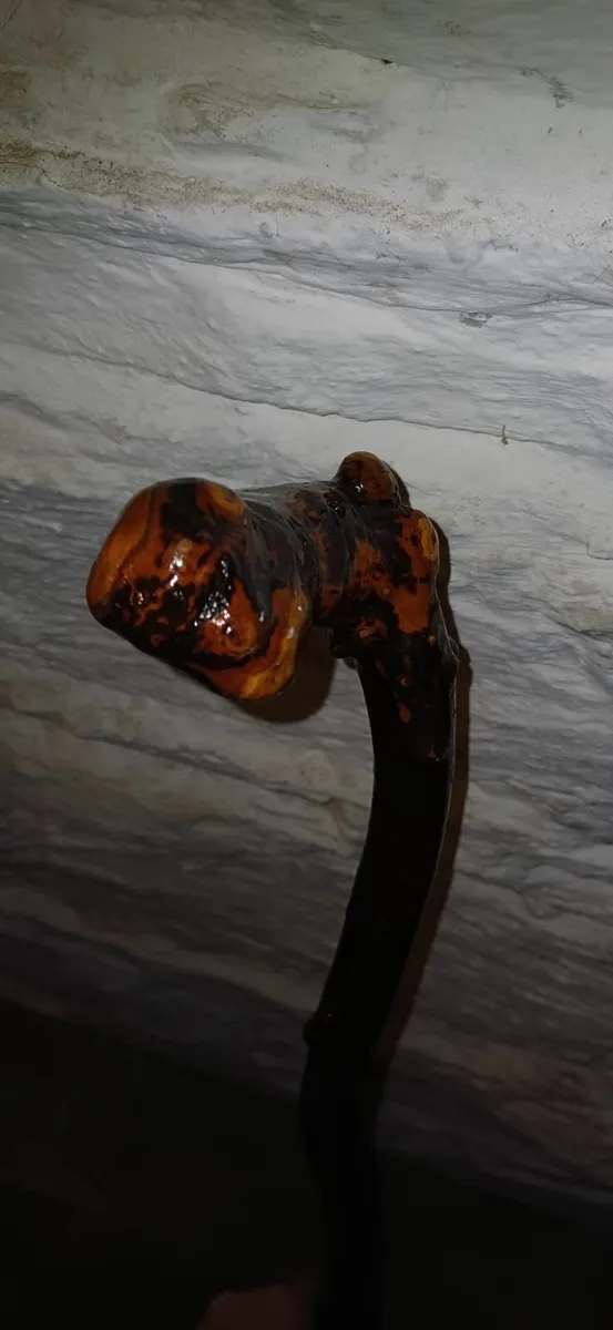 Walking stick, cabe, blackthorne - Image 2