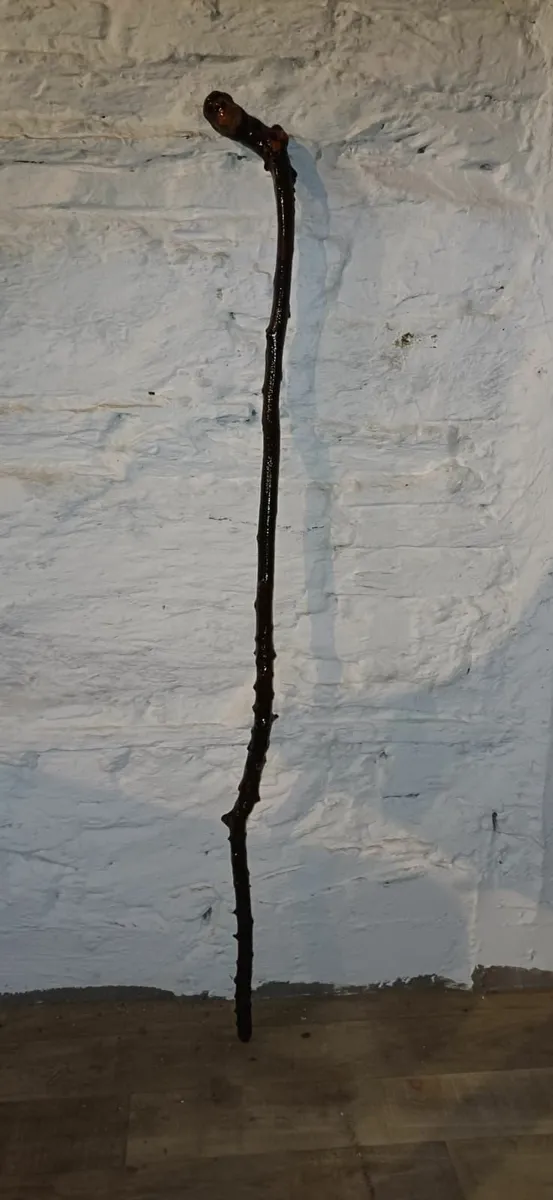 Walking stick, cabe, blackthorne - Image 3