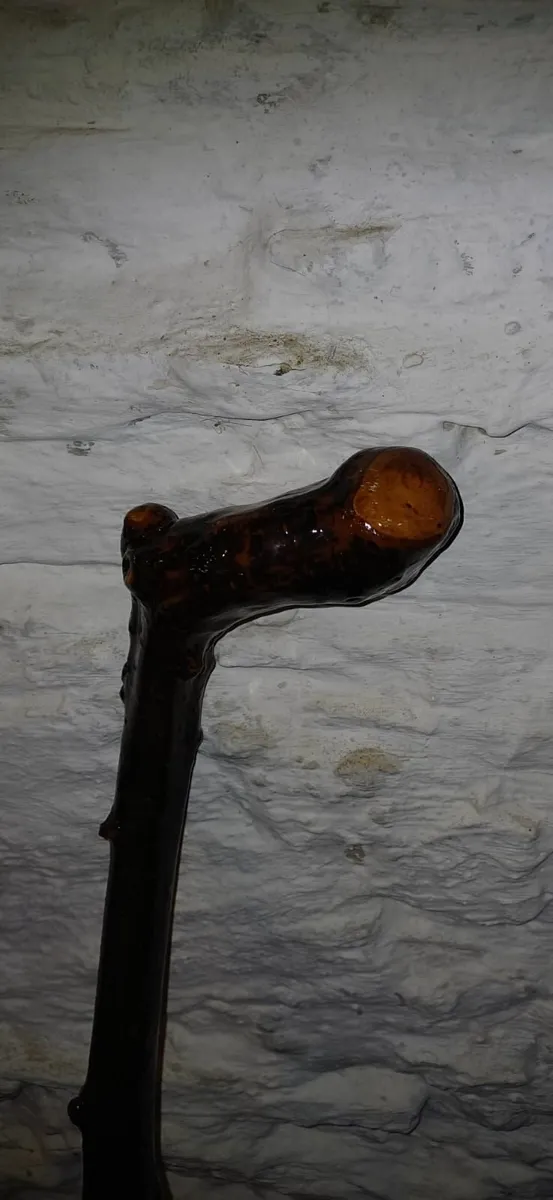 Walking stick, cabe, blackthorne - Image 4