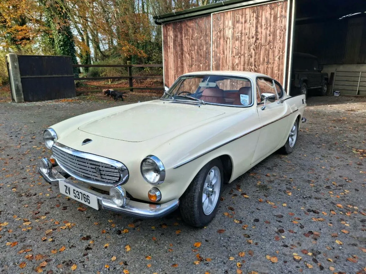 P1800 Volvo - Image 2