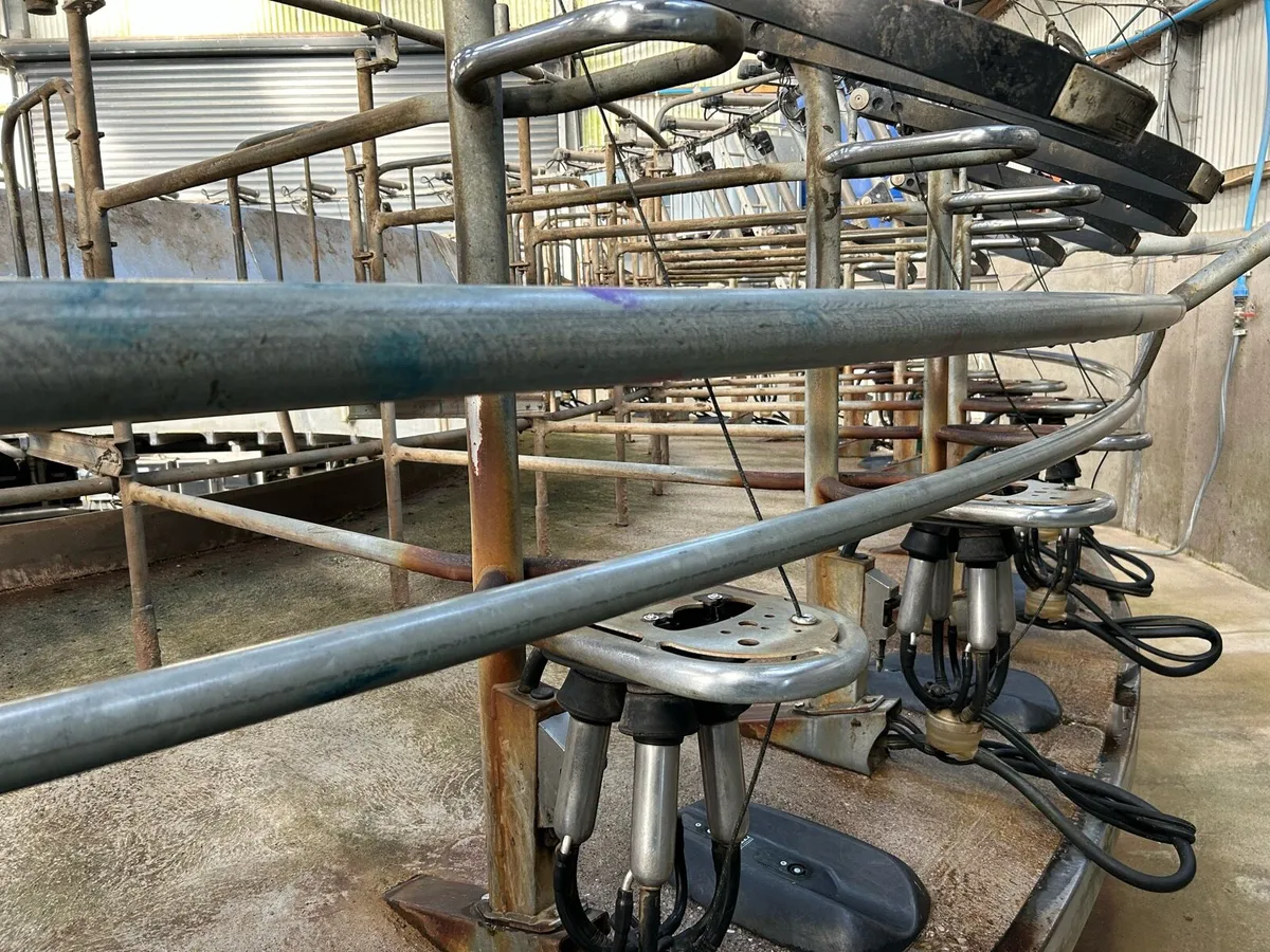 40 unit Waikato rotary milking machine - Image 3