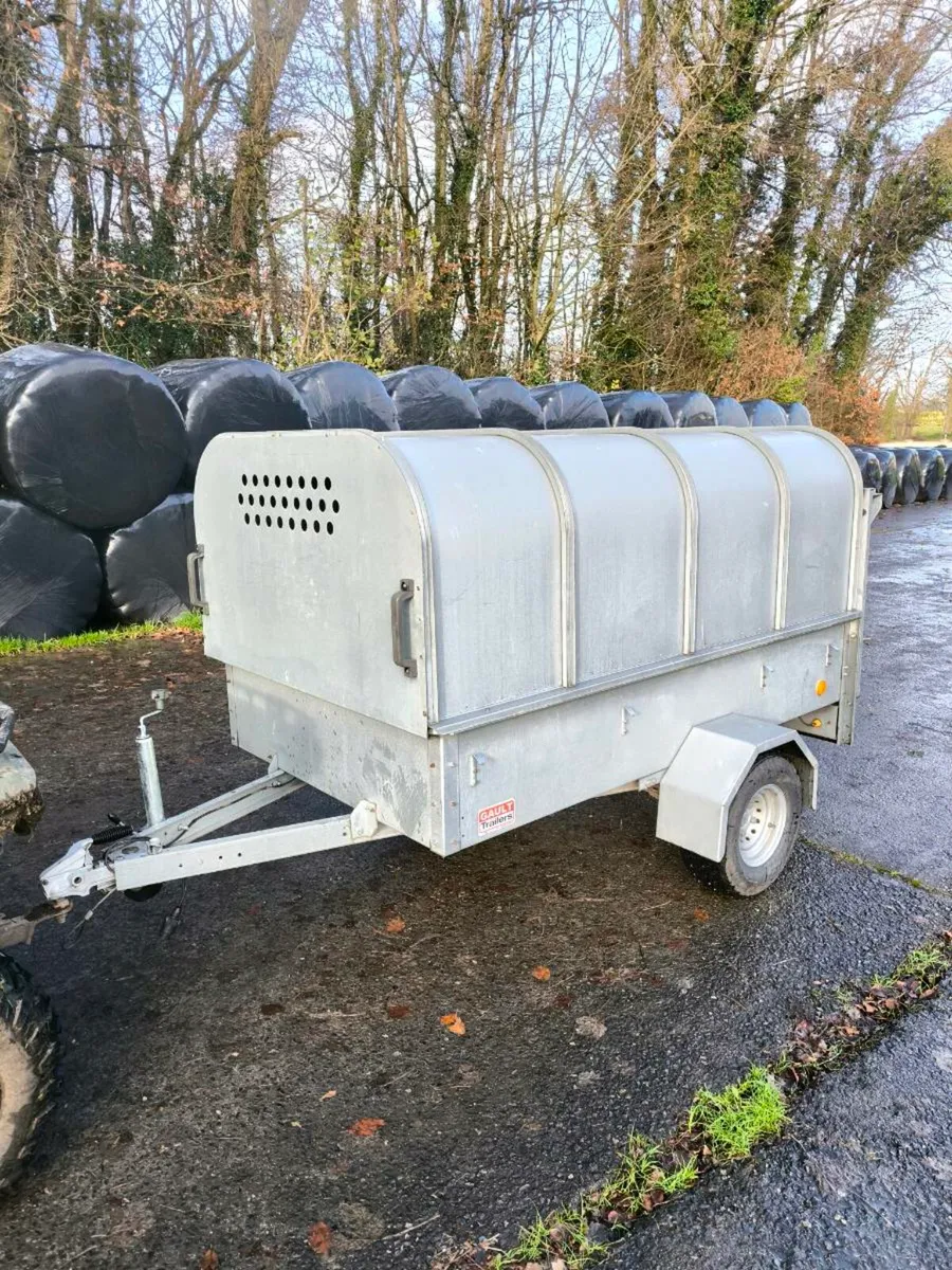 New calf / sheep/ lamb trailer - Image 4