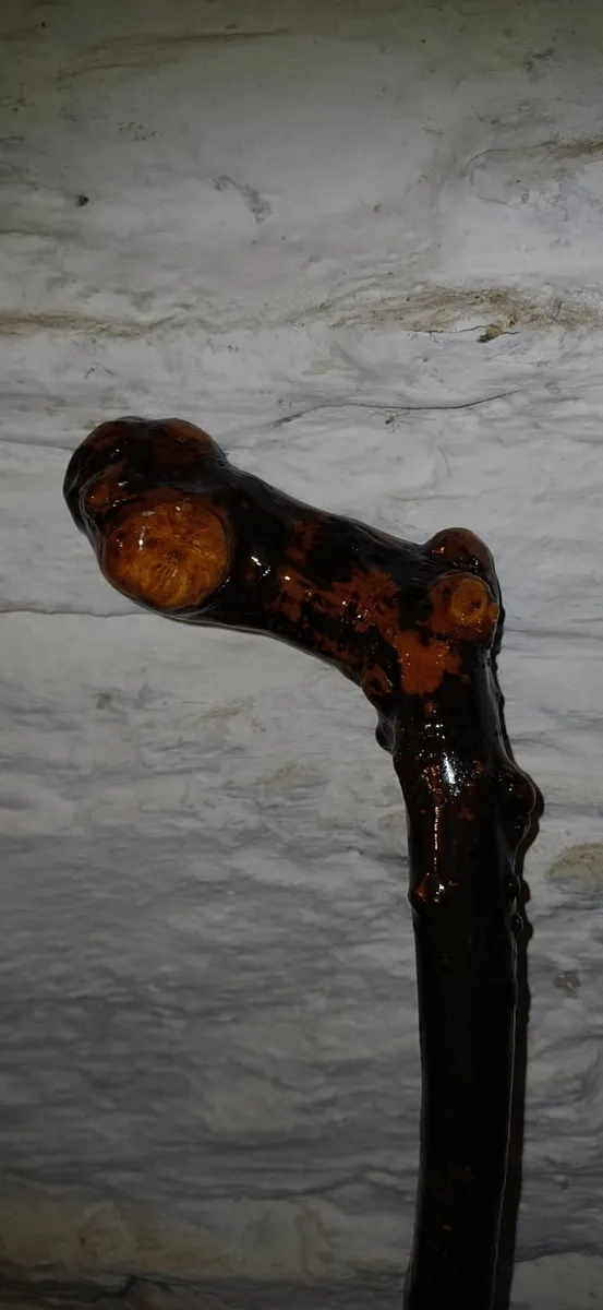 Walking stick, cabe, blackthorne - Image 1
