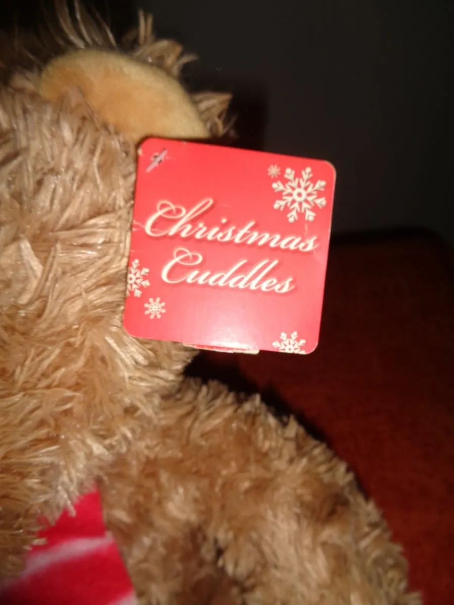 Cuddly Christmas Bear for Sale - Image 2