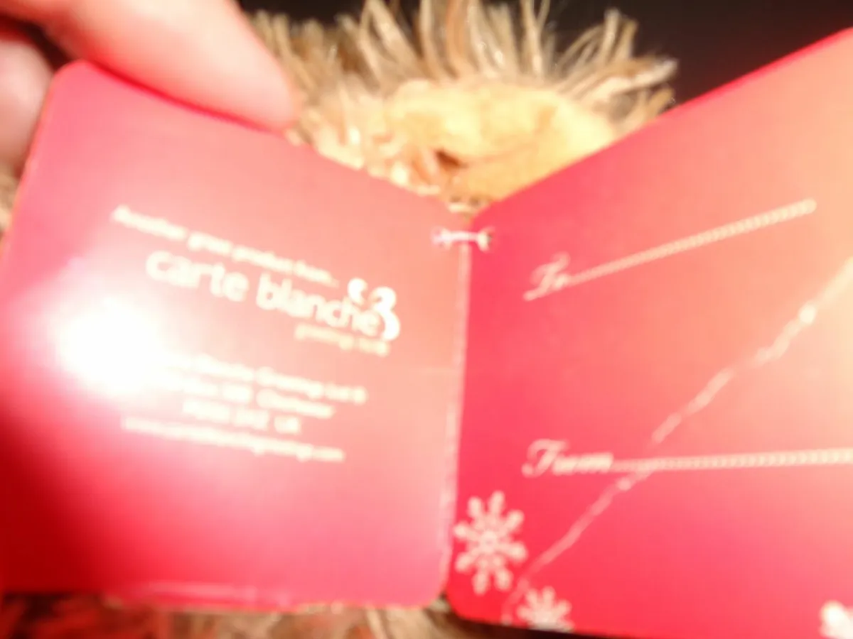 Cuddly Christmas Bear for Sale - Image 3