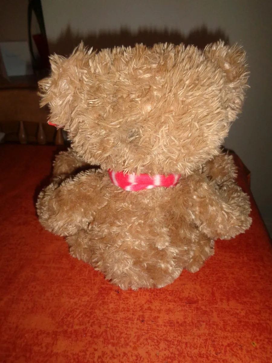 Cuddly Christmas Bear for Sale - Image 4