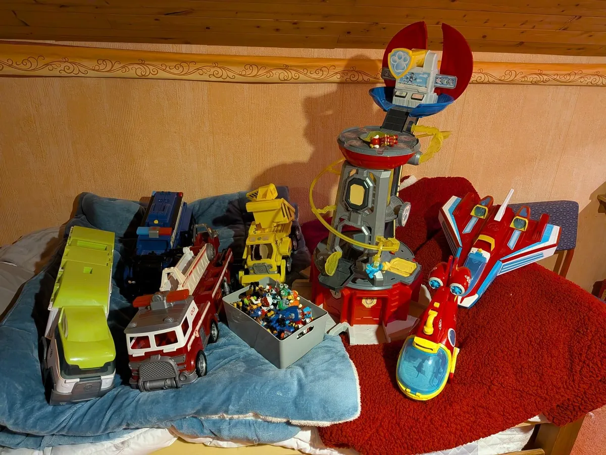Paw patrol bundle