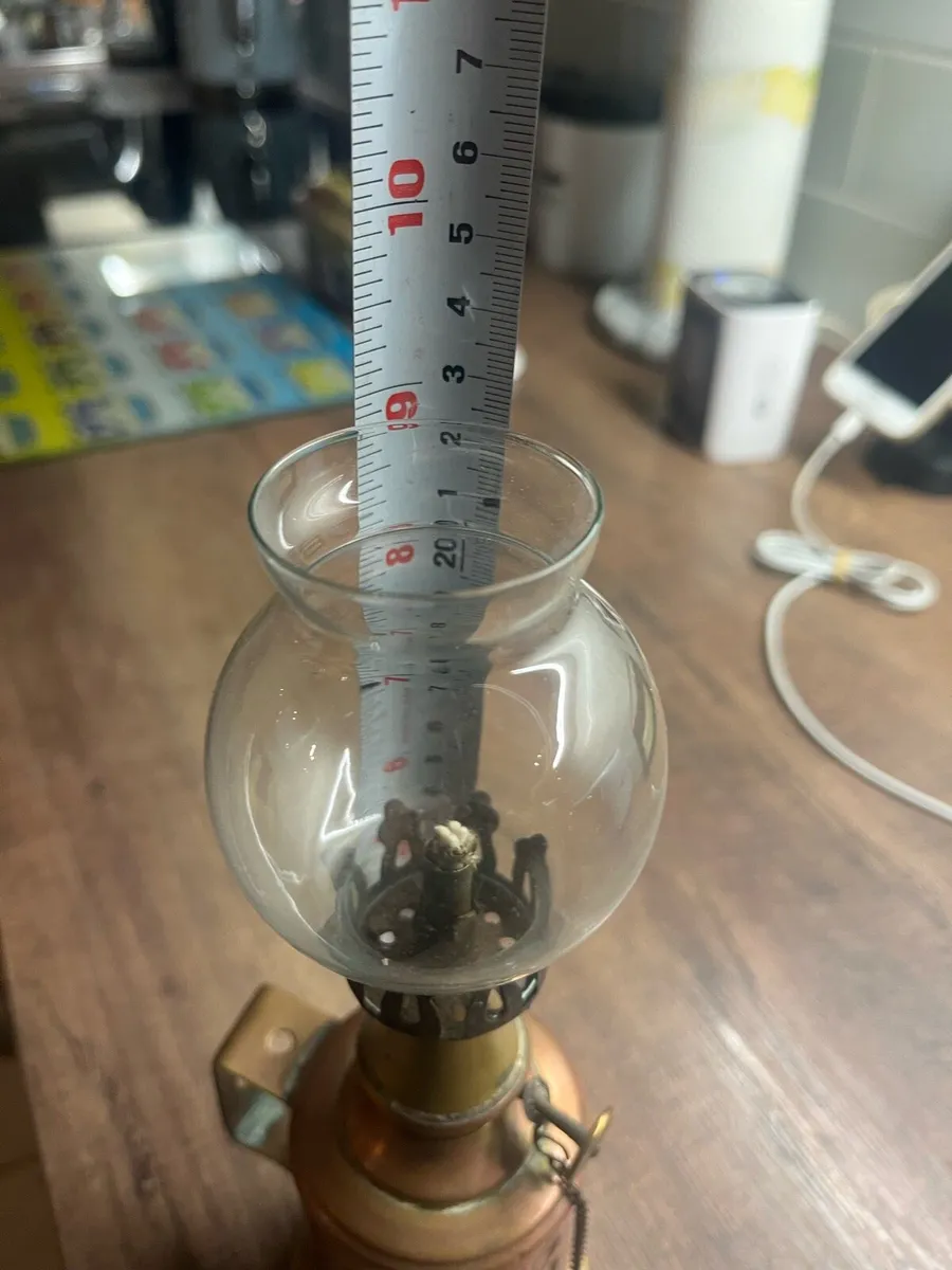 Antique French Pigeon Lamp - Image 4