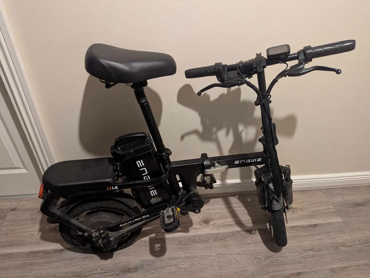 Electric Bike - Image 2