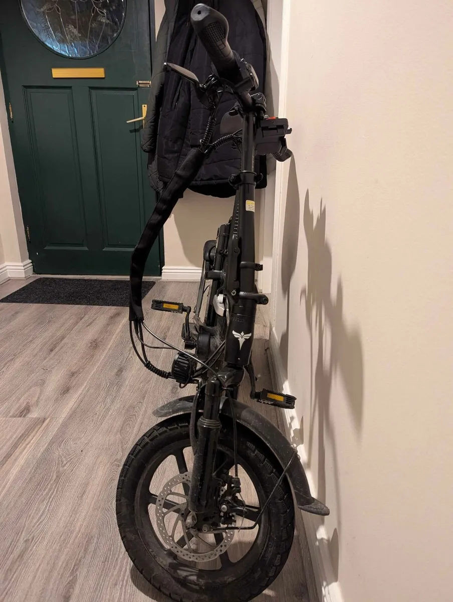 Electric Bike - Image 3