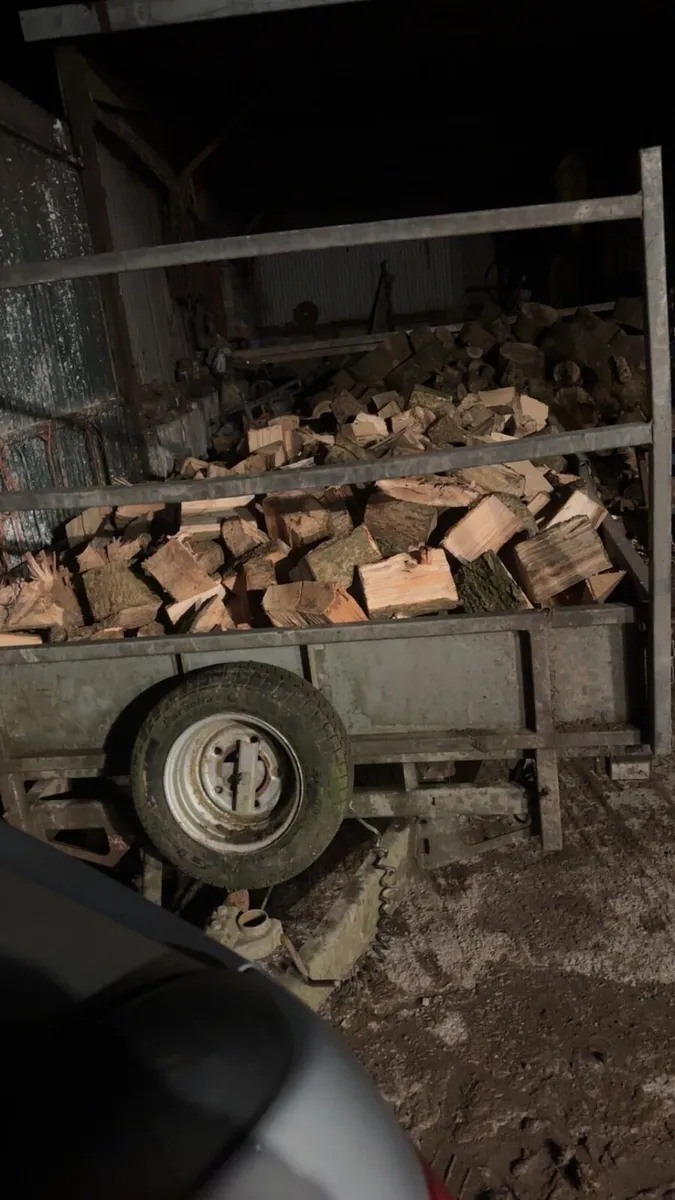 Fire wood Ash timber - Image 2