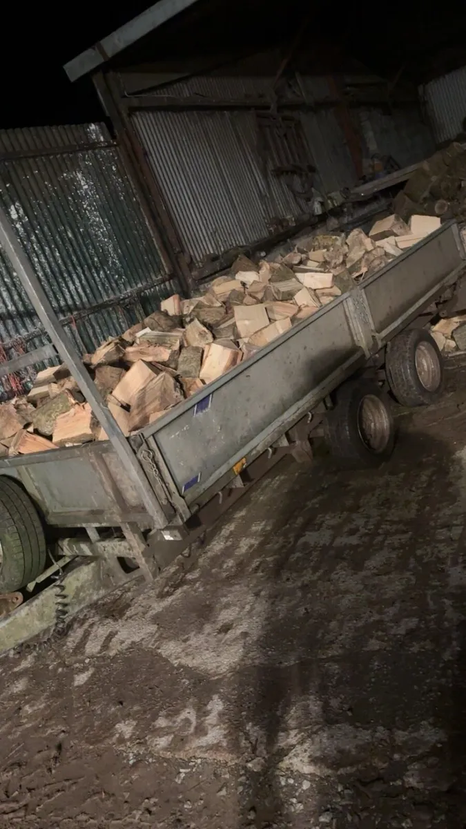 Fire wood Ash timber - Image 1