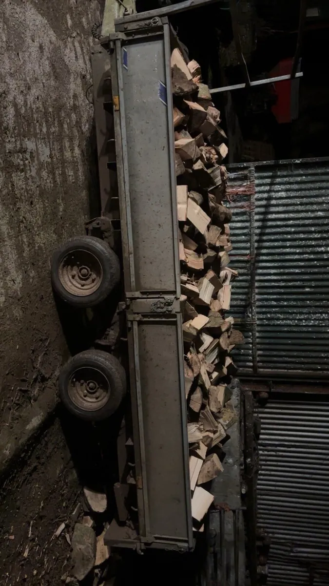 Fire wood Ash timber - Image 3