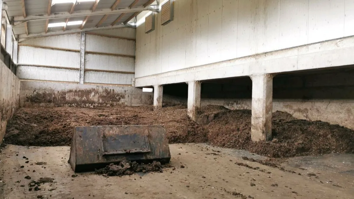 Poultry Manure - Image 1