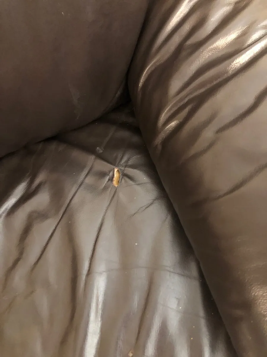 2-seater sofa - Image 4